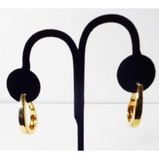 Gold Oval Shaped Earings