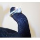 Clear Zirconia