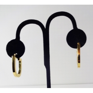 Gold U-shaped Earings